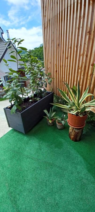 Casa Cu Muri Тиргу-Окна Екстер'єр фото